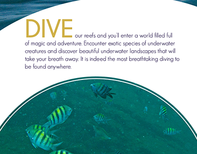 Dominica Travel Bi-Fold Brochure _ College Project