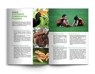 WWF Booklet Layout Design