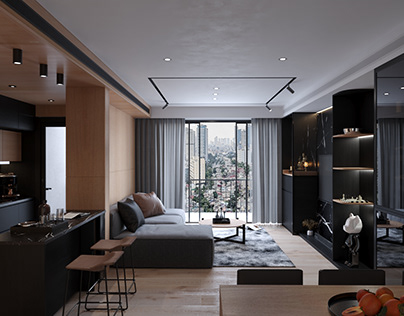 Modern - Minimal Black apartment