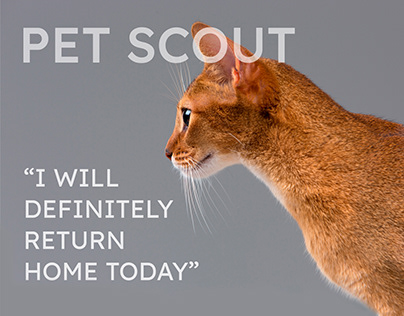 Pet Scout. Animal pet search web service. UI/UX Design