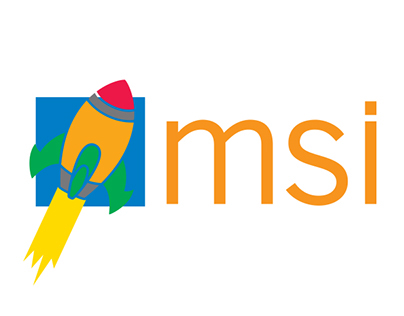 Google MSI Logo