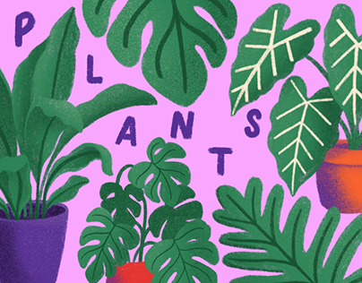 PLANTS // Illustration + Lettering