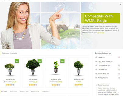 Best eCommerce WordPress Themes 2013