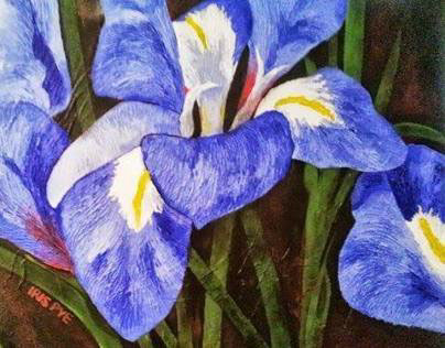 "Iris Pye" Acrylics on Canvas 24" x 24"