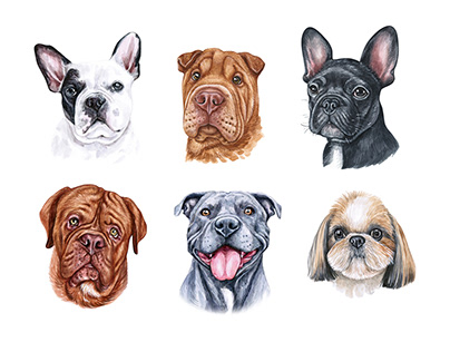 Watercolor Dog breed