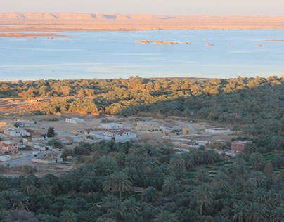 Econeighbourhood in Sensitive communities: Siwa Oasis