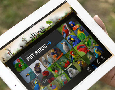 iBirds - iPad App Concept
