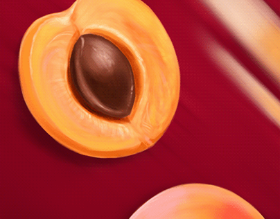Apricot | Food Art | Illustration | Time-Lapse