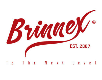 Brinnex // Logo design