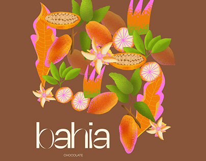 Bahia chocolate