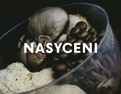 Nasyceni randing. More than a cooking blog.