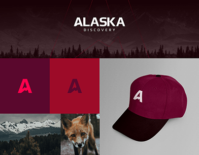 Alaska Discovery Logo and Branding