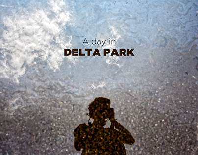 A day in Delta Park