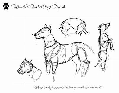Sketching - Dogs Special