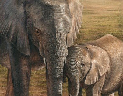 Portrait of an elephant and calf