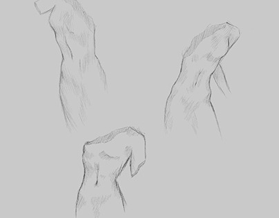 fem body sketches