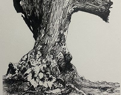 Pen sketch ,Old tree