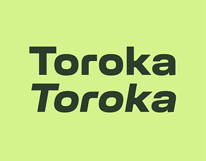 Toroka Type Family