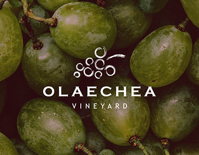 Olaechea Vineyard Branding