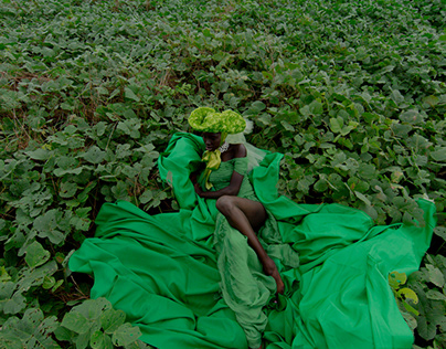 Field of Green - Best Of Today Photo Vogue