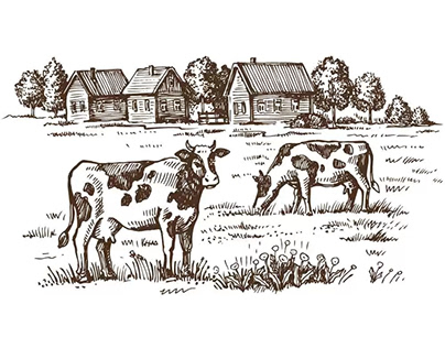 Free Cows Grazing on Meadow Hand Drawn Illustration