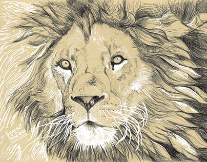 Project thumbnail - African Animal Drawings