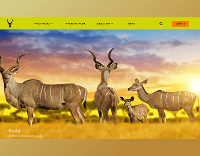 Kudu wildlife conservation