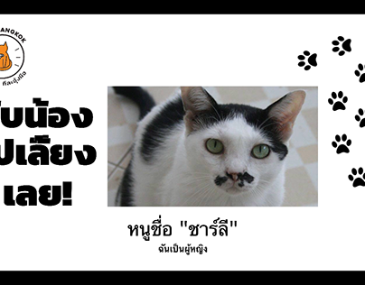 PAWS Bangkok Adopt Me Video Slideshow
