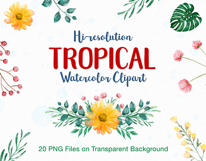 Tropical Watercolor Clipart