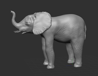 Elephant 3D Sculpt