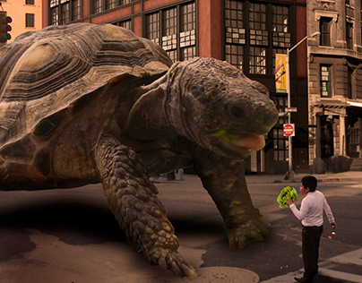 Montaje - The big turtle
