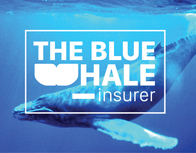 Project 1: The Blue Whale insurer