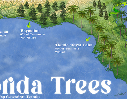 The Florida Trees - A 3D Infographic
