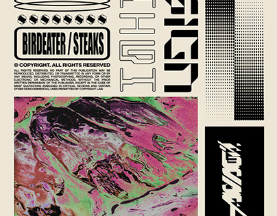 High Sign - Birdeater/Steaks (Album Cover)