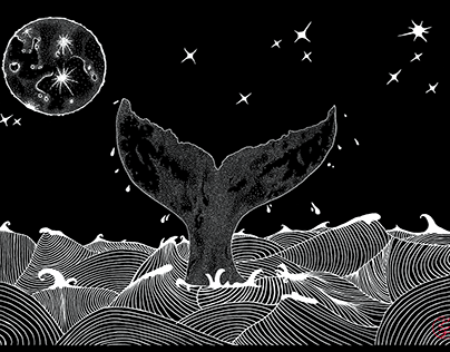 Nocturnal Whale