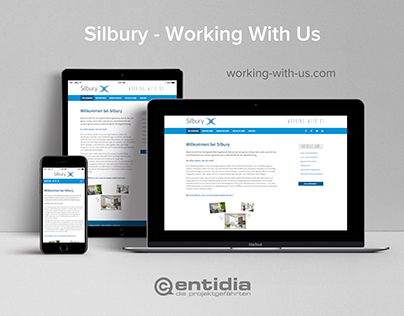 Silbury - Working With Us Website