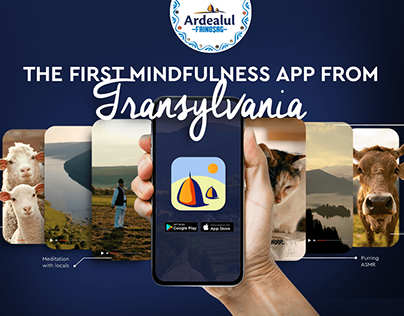 Project thumbnail - The First Mindfulness app from Transylvania