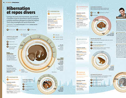Infographie: Les types d'hibernation (Salamandre 267)