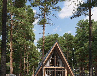 Visualization of a house in style A-frame.