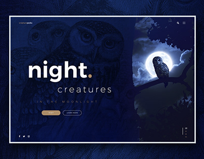 Night Creatures home page concept