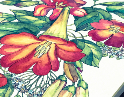 Watercolor red flowers