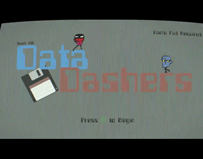 Data Dashers