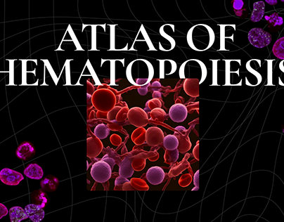 Blood cell atlas | UI/UX design