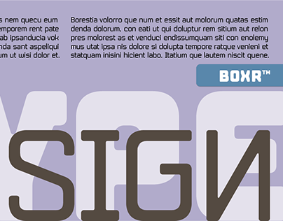 Boxr™ Typeface Design