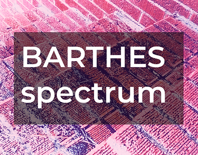 Barthes Response