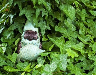 Acts of Gnome