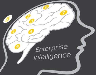 EY Enterprise Intelligence Infgraphic