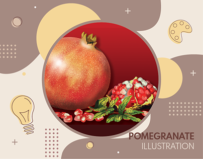 Pomegranate Digital Illustration