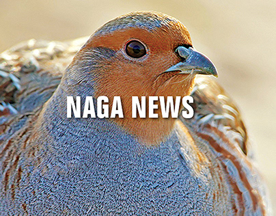NAGA News
