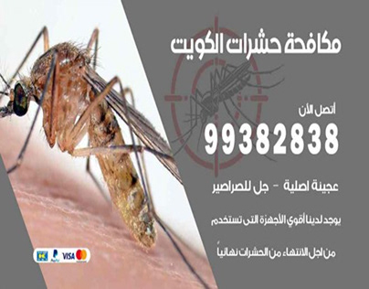 مكافحة حشرات الكويت 99382838 شركة رش حشرات الكويت
